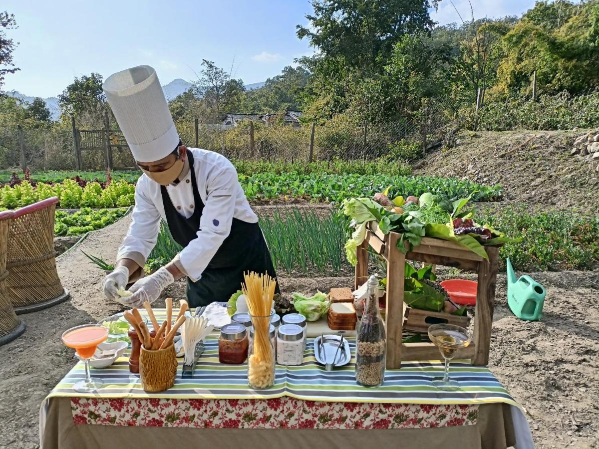 Paatlidun Safari Lodge, Jim Corbett Garjia Luaran gambar