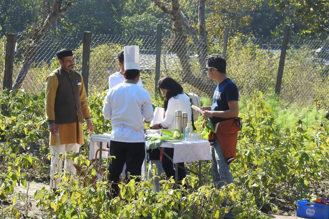 Paatlidun Safari Lodge, Jim Corbett Garjia Luaran gambar